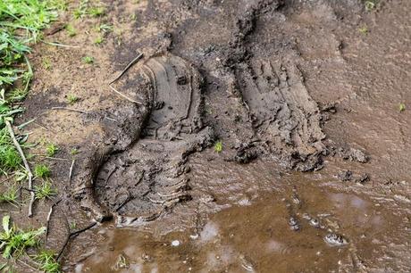 Sliding fiasco slipped boot prints in mud
