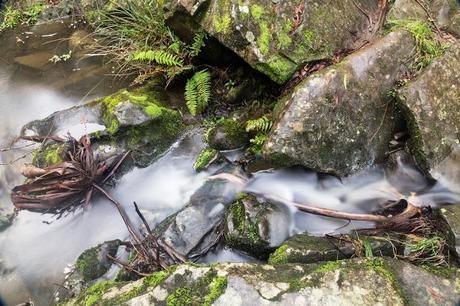 St George River rocks and leaves in st george river lorne