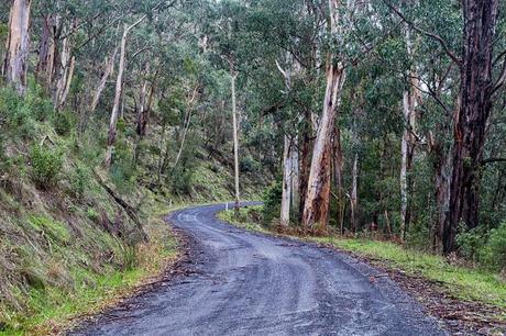 Allenvale Road, Lorne allenvale road lorne