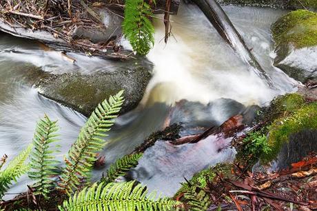 Smooth sailing in Henderson Creek rocks in henderson creek lorne