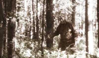 Bigfoot Is Real According To DNA Tests, Genetic Research, And Statistician (Video)