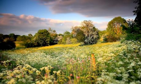 Why visit the Peak District? Picture