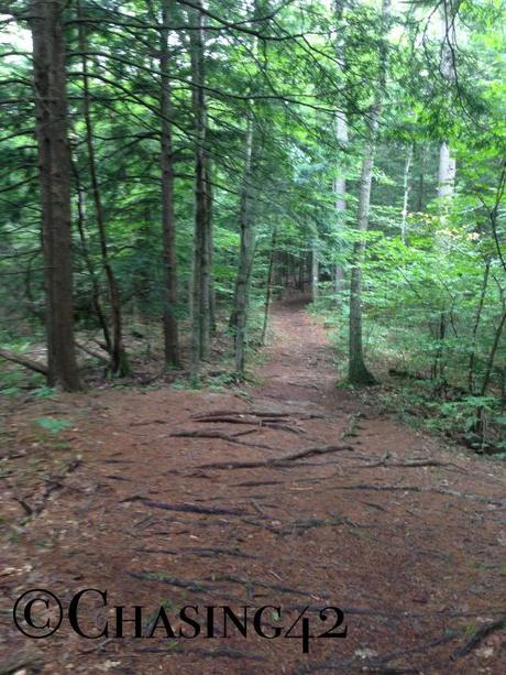 I’m Maine-ly in Love with…Maine! I had the trails around Bradbury Mountain to myself!