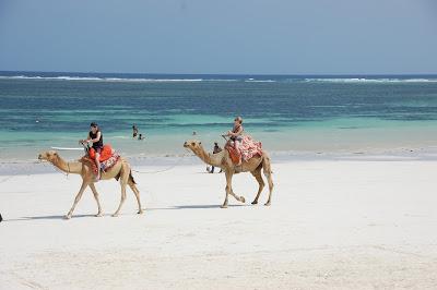Kenya Adventure: Diani Beach