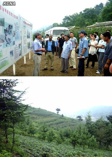 Participants in the agroforestry workshop visit an agroforestry management pilot program in Suan County, North Hwanghae Province (Photos: KCNA).
