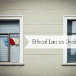 Ethical Womens Underwear where can I buy ladies ethical underwear uk