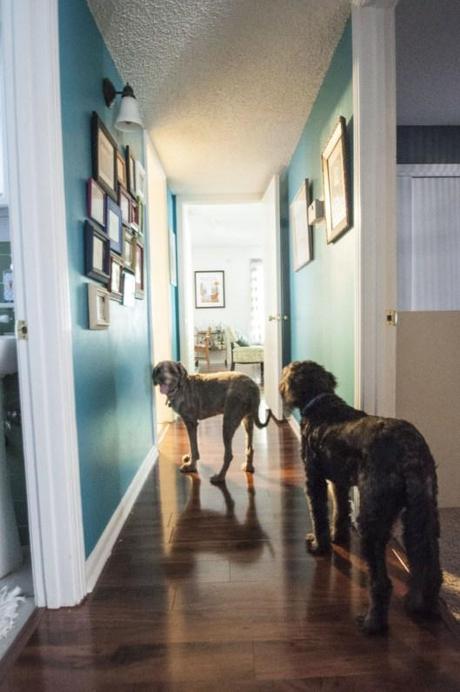 An accurate guide to installing wood flooring in 5 easy and extremely helpful steps. doodlehousehallway