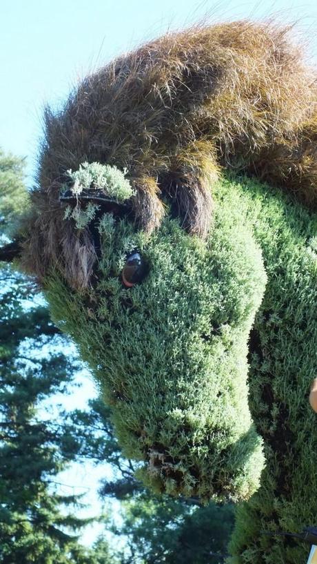 Mosaiculture 2013 at Montreal Botanical Garden The Man Who Planted Trees (horses head) - Mosaiculture - Montreal Botancial Gardens