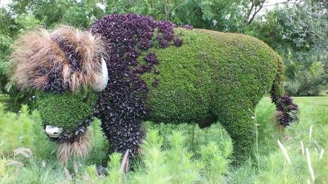 Mosaiculture 2013 at Montreal Botanical Garden Mother Earth (Bison) - Mosaiculture - Montreal Botancial Gardens