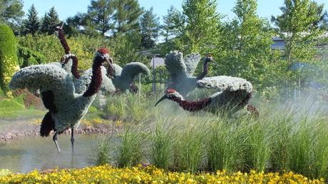 Mosaiculture 2013 at Montreal Botanical Garden A True Story (birds in swamp) - Mosaiculture - Montreal Botancial Gardens
