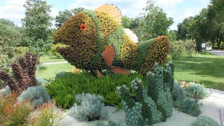 Mosaiculture 2013 at Montreal Botanical Garden Little Clown Fish and Its Sea Anemone - Mosaiculture - Montreal Botancial Gardens