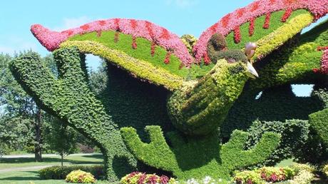 Mosaiculture 2013 at Montreal Botanical Garden Planting plane trees to attract the Phoenix (closeup of Phoenix) - Mosaiculture - Montreal Botancial Gardens
