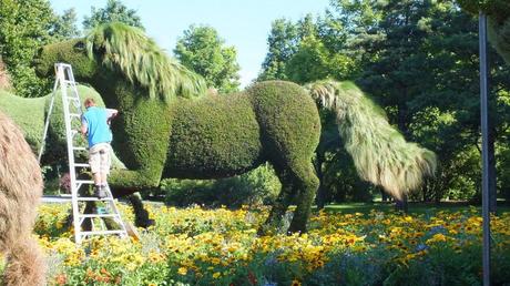 Mosaiculture 2013 at Montreal Botanical Garden The Man Who Planted Trees (gardener trims horse) - Mosaiculture - Montreal Botancial Gardens