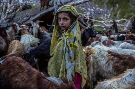 Beyond the Headlines – Pakistan Zindabad Watching mountain goats