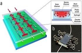 Solar Cells Mimic Natural Processes To Self-Heal: Research Suggests