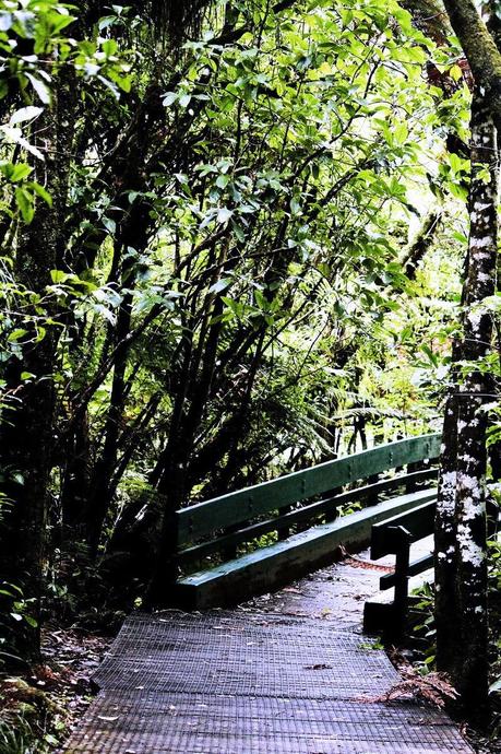 Places to visit New Zealand, ©www.aldentegourmet.com ,©aldy moyla photography