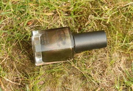 Color Club Nouveau Vintage Nail Polish Swatches Color Club Nouveau Vintage Nail Polish Swatches