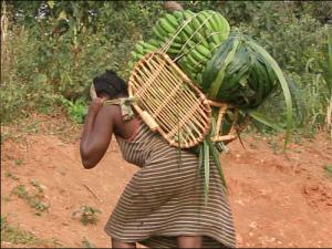 An African woman farmer suffering all the weight of her harvest.