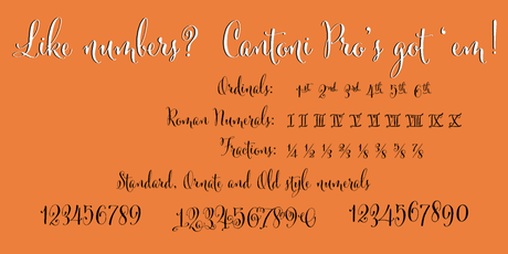 Cantoni Pro hand lettered font, and flourishes by Debi Sementelli Type foundry Cantoni-Numerals,Cantoni Script font, calligraphy font,script font, fancy font, hand lettered font, hand written font, fancy alphabet, fonts for invitations, best selling fonts, most popular fonts, unique fonts, fonts for weddings, wedding fonts, fonts for invitations, diy wedding fonts, diy wedding, flourishes, ornaments, wedding flourishes, wedding ornaments, wedding,