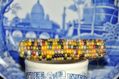 And Now -- Glass Gem Corn! And Now -- Glass Gem Corn!