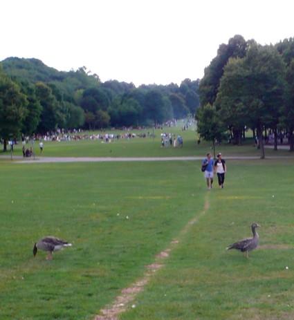Encounters in Munich munich_westpark