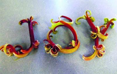 rhubarb art rhubarb art