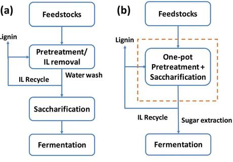 Conventional separate pretreatment and saccharification of biofuel feedstock (a) entails water and waste disposal that one-pot system (b) eliminates. (Credit: Joint BioEnergy Institute)