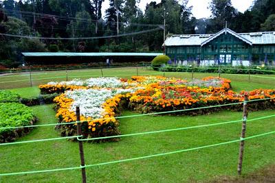 Ooty Botanical Gardens, Tamil Nadu