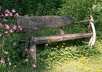 Landscaping with Driftwood Bench