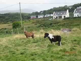 Welcome to Achill! Welcome to Achill!