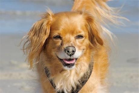 Caring for Seniors _MG_4535