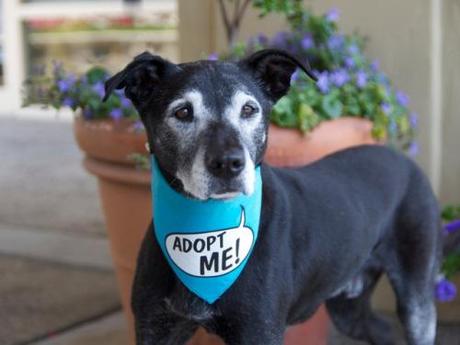 Caring for Seniors Image 5