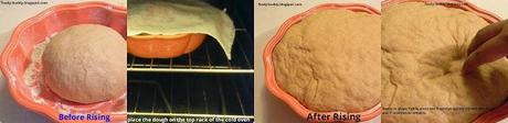 Whole Wheat Sandwich Bread / How To Make Whole Wheat Bread From Scratch / No Egg Bread Recipe