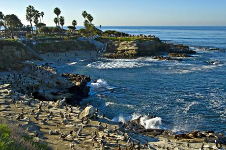 Top 5 Beaches in Southern California