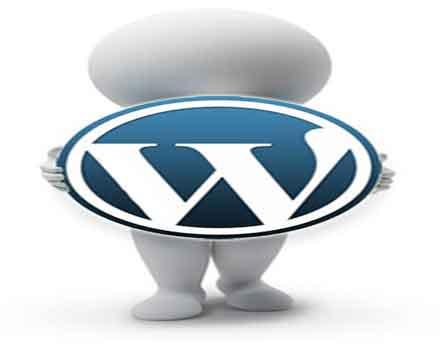 Top 5 Must Have Plugins For A Better WordPress Optimization wordpress-cleanup