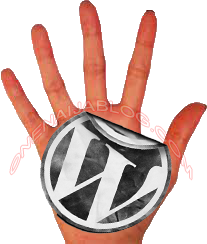 Top 5 Must Have Plugins For A Better WordPress Optimization wordpress-top-5-plugin