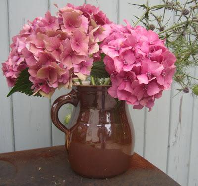 Pink hydrangeas in an old ceramic jug Treasure troves and happy accidents