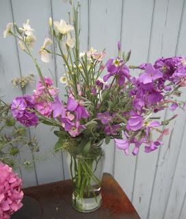 Treasure troves and happy accidents Treasure troves and happy accidents