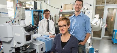 UAlberta researcher Jillian Buriak (centre) worked with post-doctoral fellows Erik Luber (right) and Hosnay Mobarok to create nanoparticles that could lead to printable or spray-on solar cells. (Credit: University of Alberta)