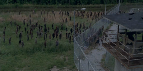 Walkers in the Field The Walking Dead Season 4