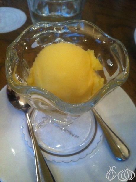 Al Mandaloun’s New Innovative Ice Cream Flavours: A Must Try AL_Mandaloun_New_Sorbet_Ice_Cream03