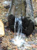 God is Not Interested in Divorcing You God is Not Interested in Divorcing You