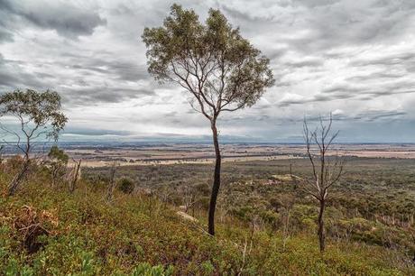 western view from you yangs