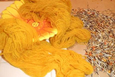 Let's Do This Again Let's Do This Again