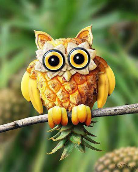 Owl out of fruit