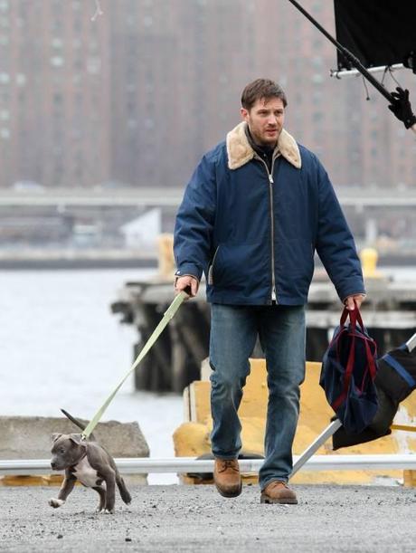 tom hardy and puppy