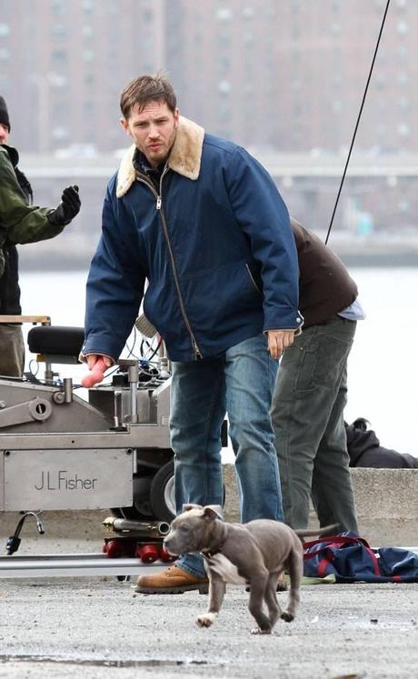 tom hardy and puppy