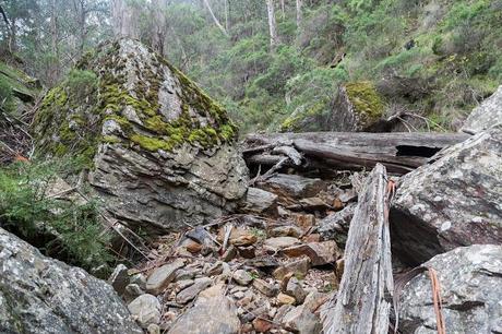 large rocks and fallen trees in old river