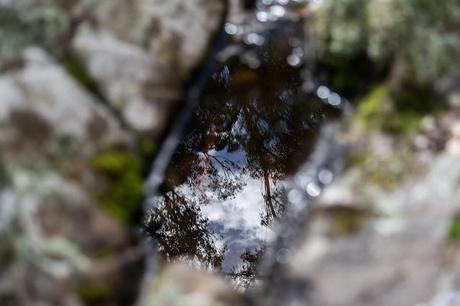 reflection in rock pool