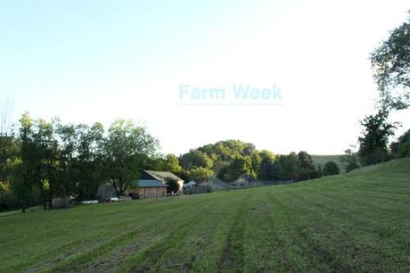 Farm-Week